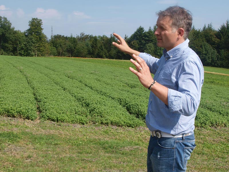 Lukas Studer spricht vor dem Apfelminzenfeld