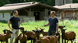 Zwei Männer stehen diskutierend in einer Ziegenherde