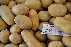 Kartoffeln mit einem Bio Suisse-Etikett. 