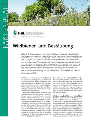 Titelseite des Faktenblattes «Wildbienen und Bestäubung»