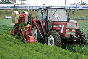 Traktor mit seitlich angebauter Karottenerntemaschine bei der Arbeit