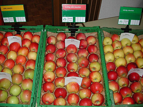 Äpfel im Verkauf mit den drei Geschmacksrichtungen "mils, süsslich", "kräftig, eher säuerlich", "würzig, säuerlich".