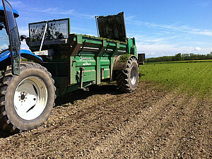 Ein Kunstwiesenmulch wird mit einem Traktor une einem Mistzetter auf einem frisch gesäten Maisacker ausgebracht
