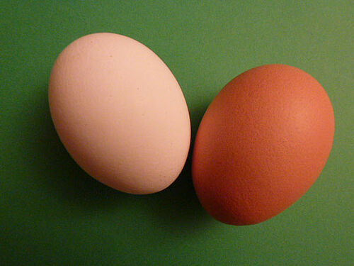 Zwei Eier auf einem grünen Untergrund