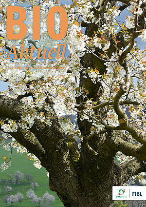 Titelseite Bioaktuell 5|23: Kirschenblüte