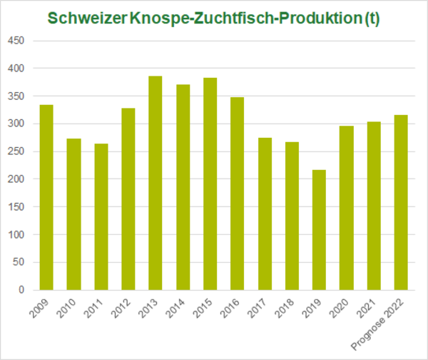 Produktion Schweizer Knospe-Zuchtfisch 2021