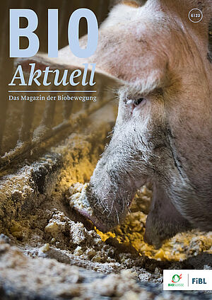 Titelseite Bioaktuell 5|23: Fressendes Schwein