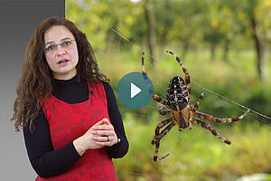 referierende Frau, Spinne im Netz im Hintergrund