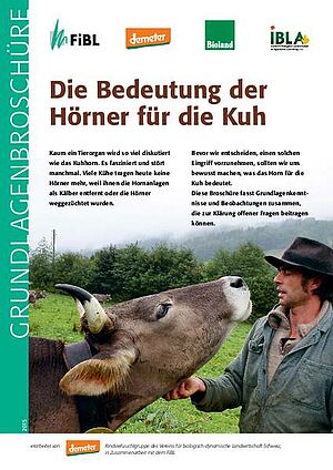 Titelseite des Merkblattes «Die Bedeutung der Hörner für die Kuh»
