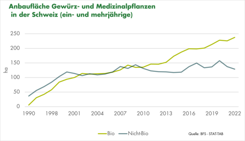 Grafik Anbaufläche Gewürz- und Medizinalpflanzen in der Schweiz bis 2022