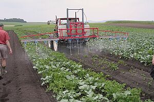 Ein Traktor mit einem Spritzgerät fährt über ein Gemüsefeld. Ein Mann läuft nebenher. 