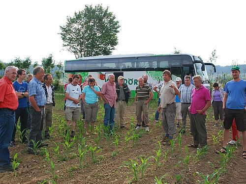 Jona Kreis erläutert den Besuchern den Gemüseanbau
Freddy Rutschmann mit den Schweizer Besuchern im Maisfeld
