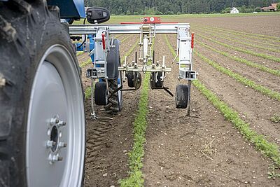 Das Hinterrad eines Traktors mit angehängtem Gerät zwischen Saatreihen auf einem Feld.