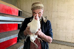 Ein Mann hält ein Huhn in einem Stall.