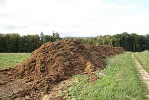 Ein Biolandwirt aus Niédens VD hat versuchsweise Wiesengras kompostiert. Hier ist der grosse Komposthaufen am Ackerrand zu sehen.