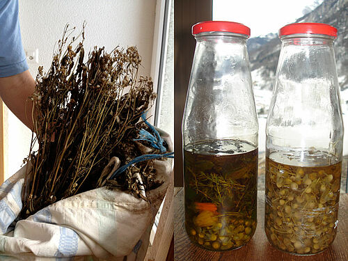 links zwei halbvolle Literflaschen mit Tinkuturen, rechts getrockneter Kräuterbüschel