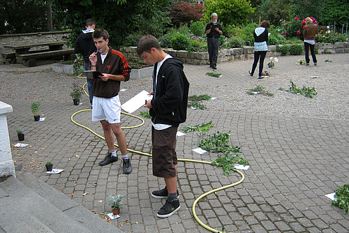 Mehrere Personen stehen auf einem Platz, teilweise mit Schreibzeug ausgestattet und betrachten am Boden stehende Töpfe mit Pflanzen drin. 