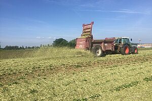 Ein Traktor mit Anhänger auf dem Kartoffelfeld.