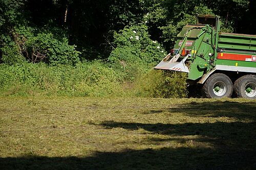 Verteilung von Grasschnitt auf Wiesenfläche mit Ladewagen