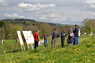 Eine Gruppe Menschen steht vor einer Aufstellwand mit Postern auf einer Weide mit Löwenzahn und grünem Gras. Im Hintergrund weiden Kühe. 