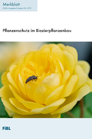 Dies ist die Titelseite des Merkblatts: Pflanzenschutz im Biozierpflanzenbau. Zu sehen ist eine gelbe Zierpflanze mit einem Nützling im Anflug.