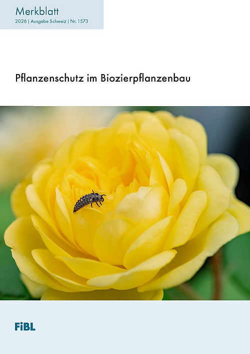 Dies ist die Titelseite des Merkblatts: Pflanzenschutz im Biozierpflanzenbau. Zu sehen ist eine gelbe Zierpflanze mit einem Nützling im Anflug.