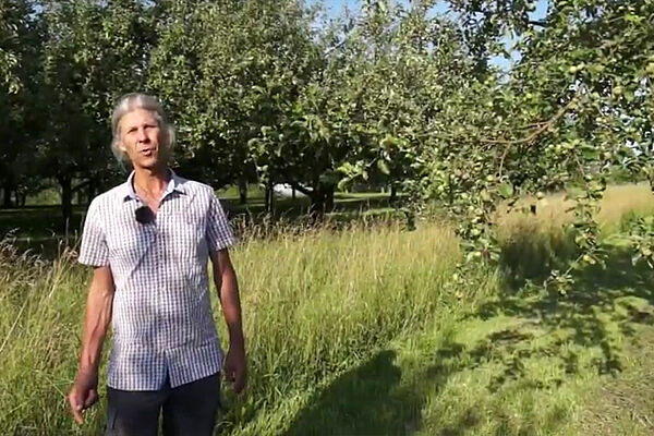 Mann im Hostammobstgarten