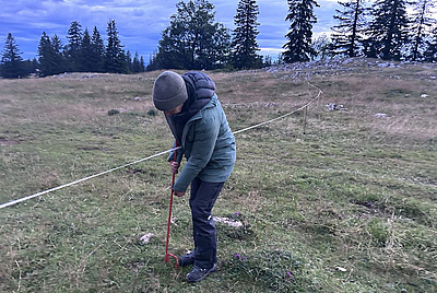 Alice Dind am Zäunen.