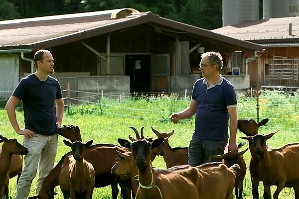 Zwei Männer stehen diskutierend in einer Ziegenherde