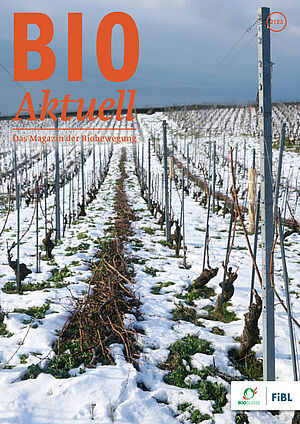 Titelseite Bioaktuell 2|23: Ein Weinberg im Schnee