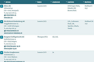Tabelle mit den Adressen von Anbietenden von biologischen Junghennen, Bruteiern und Küken.