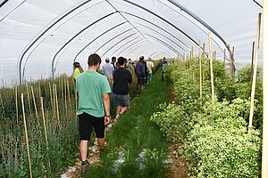 Besucher in Folientunnel mit verschiedenen Gemüsearten