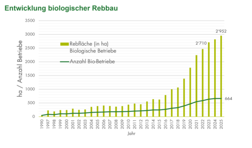 Entwicklung Rebbau