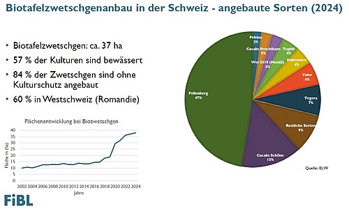 Eine Powerpointfolie.