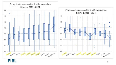 Folie mit dem Ertrags- und dem Proteinindex aus den Biostreifenversuchen.
