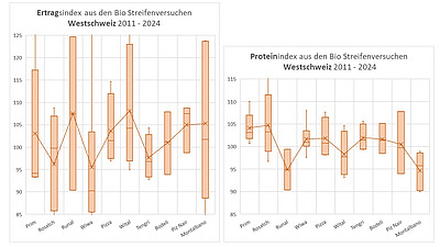 Folie mit dem Ertrags- und Proteinindex der Streifenversuche in der Westschweiz.
