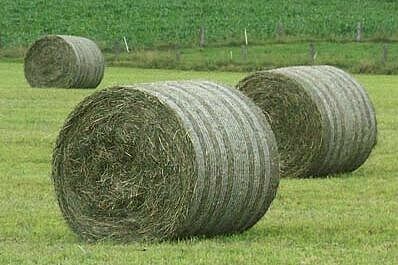 drei Heurundballen auf dem Feld