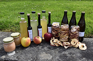 Neun Flaschen, getrocknete Früchte, zwei Gläser mit Apfelmus und drei frische Äpfel stehen in einer Reie auf einer Steinmauer.