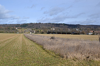 Zu sehen sind zwei landwirtschaftliche Äcker, zwischen denen sich eine Biodiversitätsförderfläche befindet. Die Aufnahme wurde im Herbst gemacht.