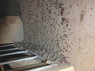 rot und weiss getüpfelte Stelle bei der Sitzstangenauflage