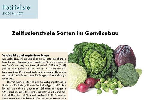 Titelseite Positivliste mit Bild Gemüsesorten