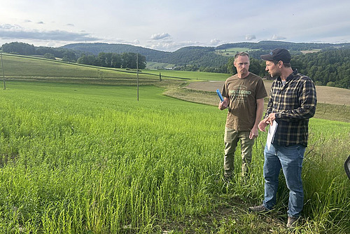Zwei Menschen stehen in einem Feld von Lein.