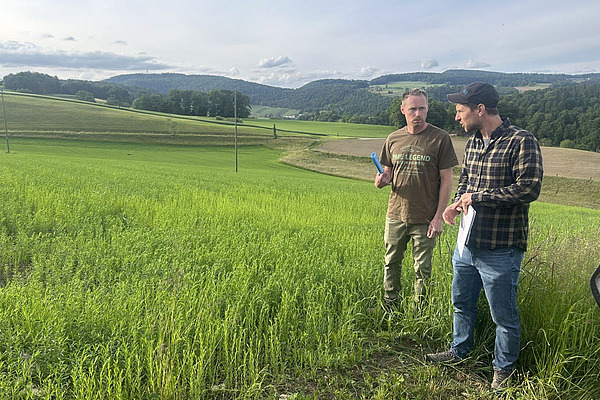 Zwei Menschen stehen in einem Feld von Lein.