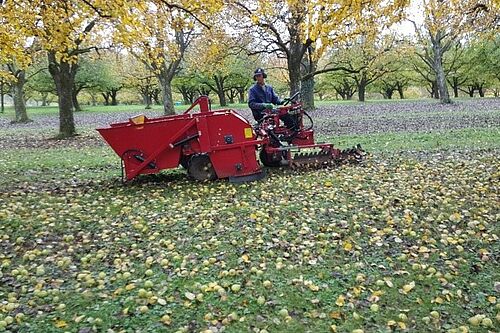 Rotes Mostobsterntegerät in einer Obstanlage