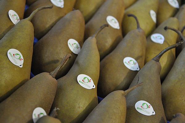 Birnen mit Bio Suisse-Aufklebern.