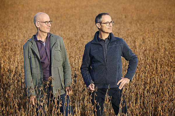 Balz Strasser und Rolf Bernhard stehen in einem Weizenfeld.
