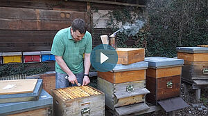 Imker vor einem offenen Bienenstock, inmitten von Bienenstöcken