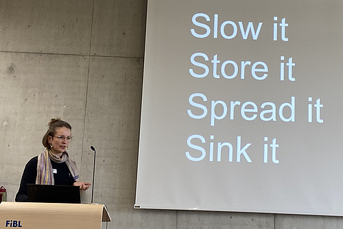 Eine Frau am Podium, auf der Leinwand erscheinen die Worte Slow it, Store it, Spread it und Sink it.