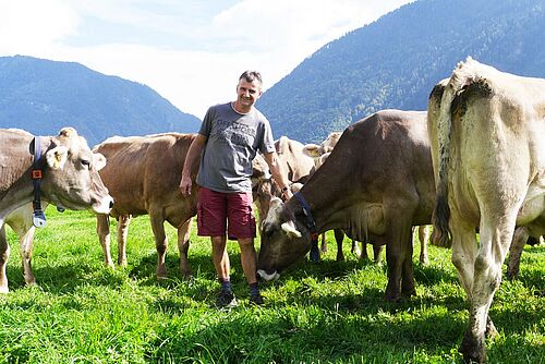 Landwirt mit seinen Kühen auf der Weide