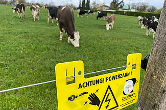 Weidezaun mit Kühen, welche im Hintergrund weiden.